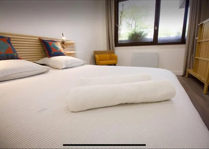 Superbe Appartement En Plein Coeur De Metz.